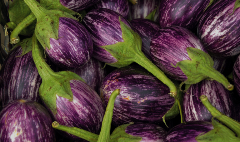 Potager des Bergeries