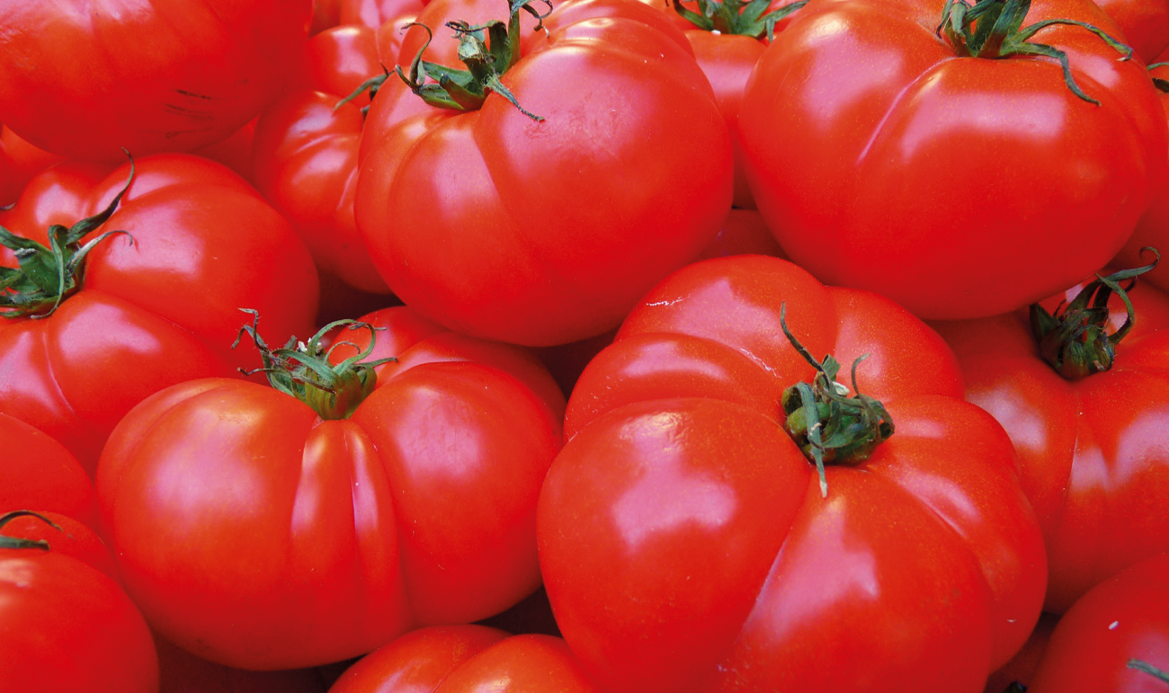 Potager des Bergeries