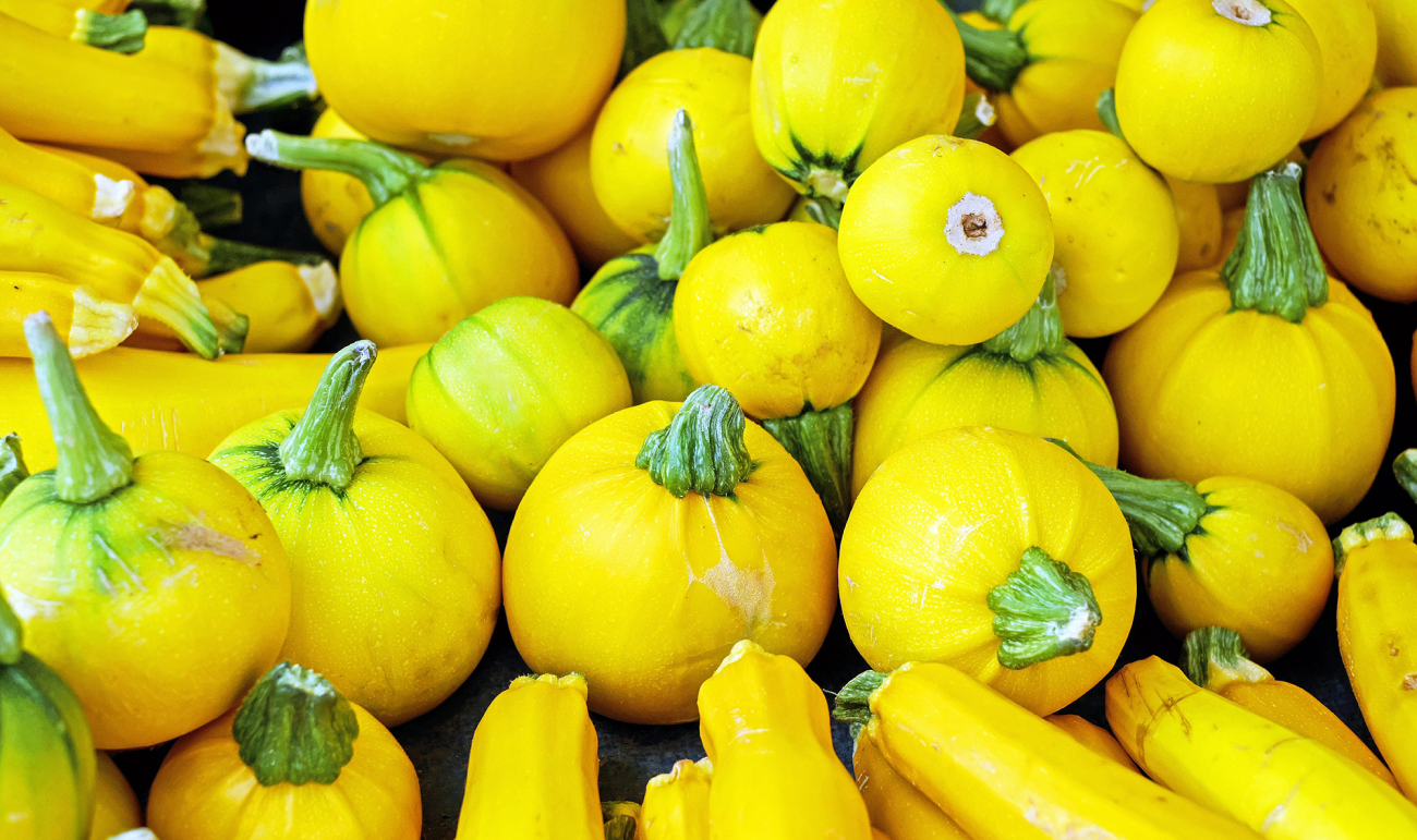 Potager des Bergeries