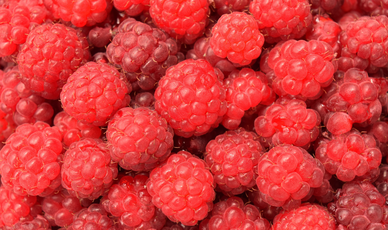 Potager des Bergeries