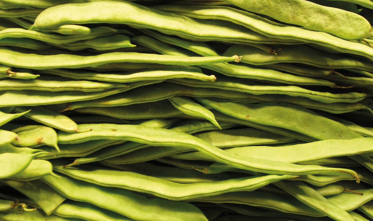 Potager des Bergeries